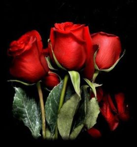 996188_363758257081074_996793807_n