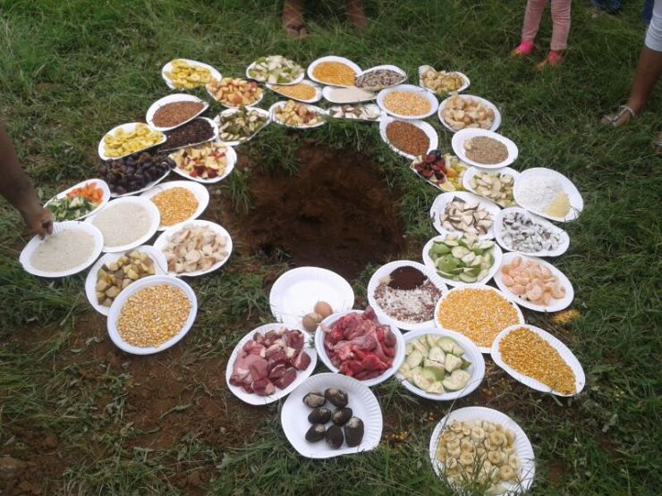 DARLE DE COMER A LA TIERRA.