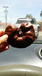 IMG-20150318-WA0009_resized