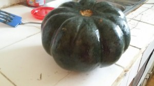 20150729_141039_resized